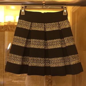 Pleated stripe Skirt